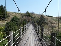 【熊本県最強心霊スポット】五老ヶ滝 吊り橋・・死の淵に誘う昔の男性の怨霊【調査動画】