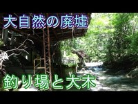 第五十話　Nature廃墟探索 後編　取材班廃墟探索ドキュメンタリーSeason3