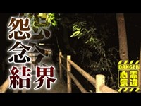 【心霊】#29 心霊現場写真「氷川女体神社」詳細は概要欄から