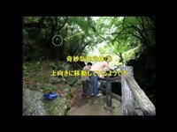 【 心霊 スポット 】 土釜 ( 徳島県 )  【 心霊写真 ？ 】