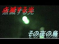 【心霊】円良田湖　謎の光　その夜の鳥　７夜【人玉】