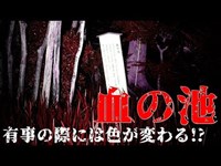 【心霊探訪】野間大坊（血の池）【心霊現象を追い求める男】