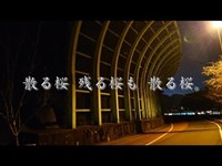 file22  仏崎の手招き地蔵(幽霊地蔵) 【１人心霊探険レポート】