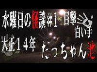 【心霊】白い手が浮き上がるたっちゃん池【水曜日の怪談#1】【閲覧注意】【トトロ 都市伝説】