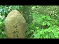 昼間心霊スポットに行ってみた(大庭城址公園)前編