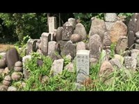 [ 心霊  閲覧注意 ]  昼間の墓地  土葬？ もしかして踏んじゃってる