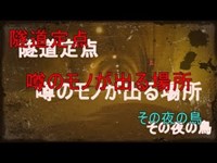 心霊スポット　浦山ダムトンネル定点 その夜の鳥　１４３夜