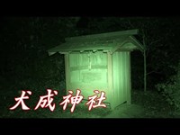 【千葉県心霊スポット】呪いの藁人形が打たれたと噂される犬成神社で合わせ鏡をした