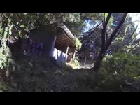 南国市 細藪山の山姥神社