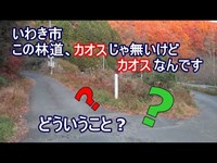 いわき市 この林道、カオスじゃないけどカオスなんです !