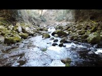 天岩戸神社、天照大神から光の祝福！！