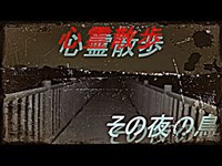 【心霊スポット】伊佐沼　その夜の鳥　４夜【散歩】