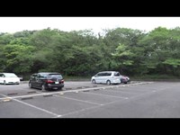 昼間心霊スポットに行ってみた（本牧山頂公園・その1）駐車場エリア