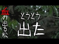 【ソロで心霊スポット実況】「血の出る松」【完全に出た。】