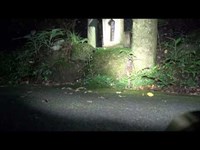 心霊マニアの旅 2013 GHOST RESEARCH 静岡県 愛鷹山水神社