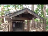 昼間心霊スポットに行ってみた(道路沿いの廃稲荷神社)