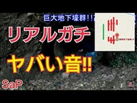 【心霊スポット!?】マジでヤバい大阪最大の地下豪 タチソの行き方【高槻地下倉庫】