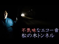 エコーポイントがすごい！松の木トンネル　【霊TUBE】【心霊スポット】【恐怖】 No11