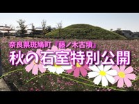 ★【藤ノ木古墳】秋の石室特別公開