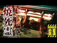 【心霊】地元警察も証言した神社で消失した女性の霊「織姫神社」詳細は概要欄から