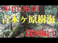 青木ヶ原樹海 探検編①（20190601）