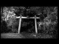 奈良県 心霊スポット 白高大神 呪われた廃神社 閲覧注意 稲川淳二 恐怖の現場