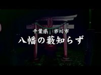 【心霊スポット】八幡の藪知らず：千葉県市川市