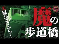 【心霊配信(怖い動画)】事件･事故が集中する公園にある魔の歩道橋【全国心霊スポット配信の旅 in 北海道 #18】