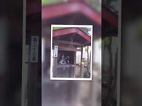 星影神社    船橋市の隠れたパワースポット