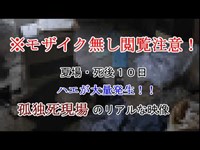 《モザイク無し閲覧注意！》孤独死（自殺）現場の特殊清掃