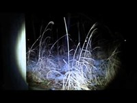 Ghost research 2015 福島県心霊スポット 愛○神社 過去動画ロング編