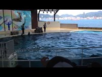 山口県 下関市立しものせき水族館 「海響館」 その５