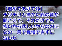 【温めてあげてね】 チリチリと微かに鈴の音が聞こえて、それだけでも怖いやら悲しいやらなのに、父の一言で我慢できずに泣いた