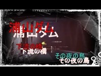 心霊スポット　浦山ダム　下流編 その夜の鳥　１３１夜