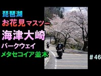 【海津大崎】＃46.桜舞う琵琶湖5人マスツー【メタセコ】