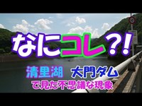 ガメラが眠るダム?! 【なにコレ?!】 清里の大門ダムで不思議な現象を発見