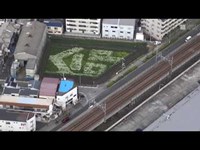 ＪＲ福知山線脱線事故現場にダイコンの花で「生」「命」の文字