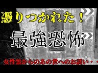 【鳥肌１２夜】【閲覧注意】【啓南大橋前編】女性霊からあの世へのお誘い！憑りつかれ離れない・・・【鳥肌史上最強恐怖更新】【心霊】