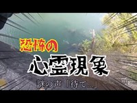 【バス釣り】丸山ダム遠征初日【心霊現象観覧注意】