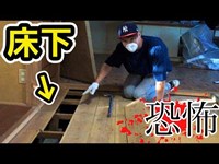 別荘の畳剥がしたら恐ろしいこに...(＞θ＜)【DIY】　PDS