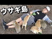 うさぎ島でウサギに埋もれてみた！廃墟にもウサギが!?