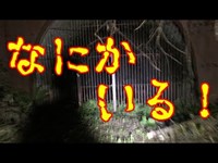 【鳥肌１７夜】【閲覧注意】何人も事故で亡くなり運ばれたトンネル【北炭夕張新炭鉱跡地】【心霊】【怪奇現象】【トンネル】