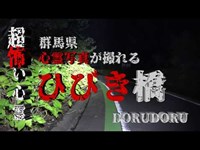 【心霊 吊り橋からの落差が怖い】超怖い心霊 Ghost Live Distribution 群馬県最恐心霊スポット ひびき橋編