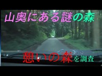 【ランエボ車載】山奥にある謎の森。憩いの森【心霊】