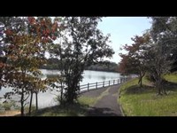 赤田公園　【熊本県の心霊スポット】