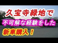 ヴェルファイアに新車を乗せて行った公園で心霊現象？が起きた！大阪八尾市久宝寺緑地の遊具で遊んできたよ！　ヴェルファイアオーナー　れんとのパパ