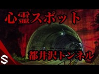 【心霊スポット】相模原の有名心霊スポットに行ったらとんでもないことに【都井沢トンネル】