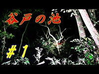 【鎌倉ヤバイ現場】谷戸の池 心霊検証その１《勇者そーすいの冒険2017》haunted places