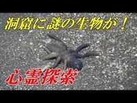 【心霊探索】兵隊や女性の霊が染みつく嘆きの洞窟【金田洞窟】