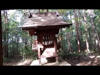 【心霊スポット】「千葉県有名心霊スポット」［白幡宮］達磨神社